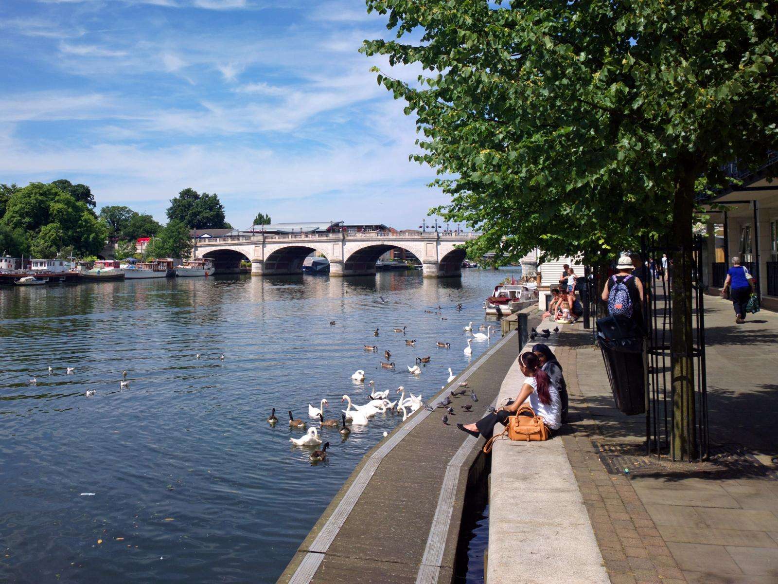 kingston 英商首都集团